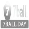 46212b logo 7ballday (1)